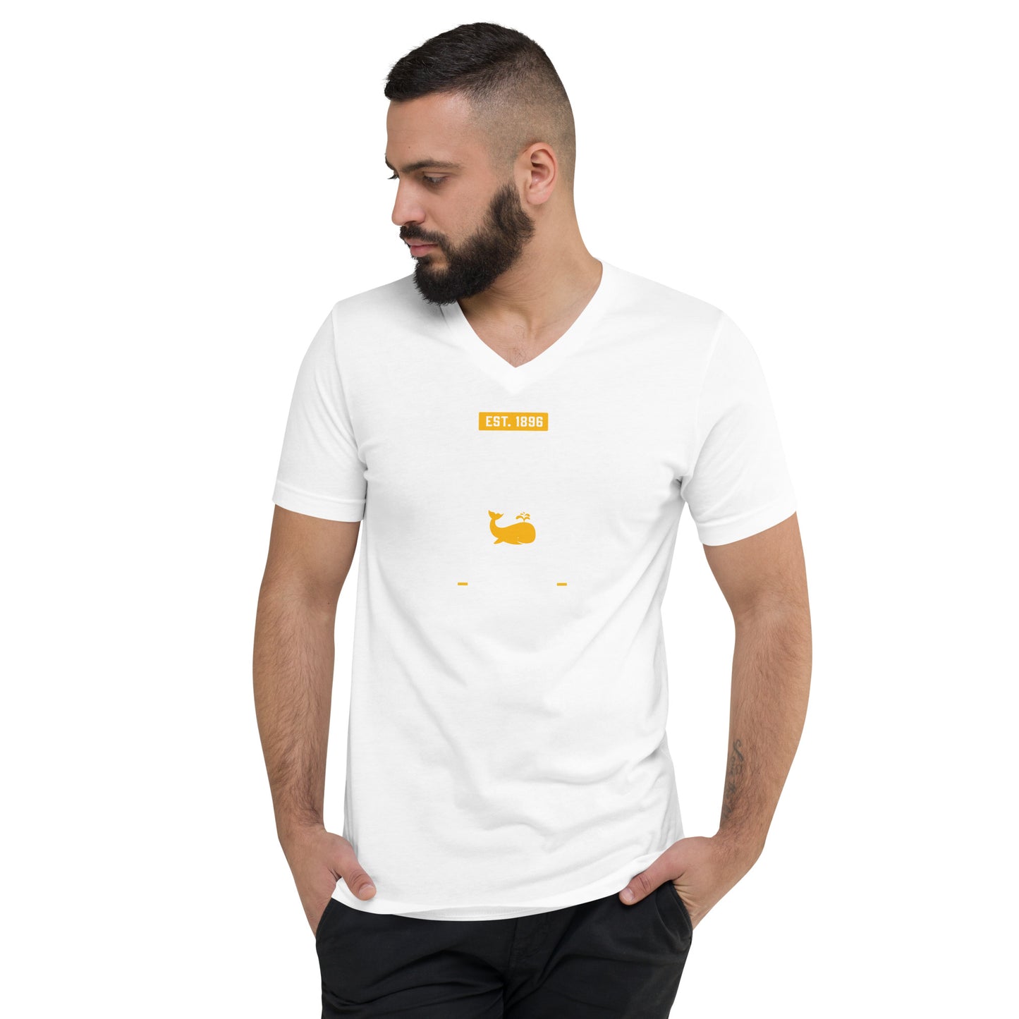 School Collection: Adult Unisex Short Sleeve V-Neck T-Shirt